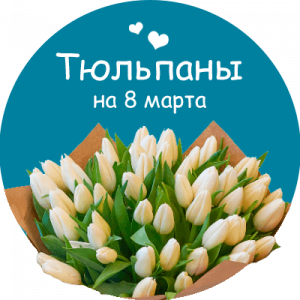 Купить тюльпаны в Сафоново